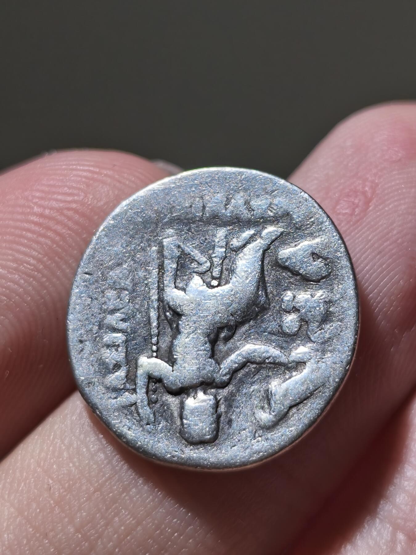 星盘世界钱币十一月二十二日古典币精品专场