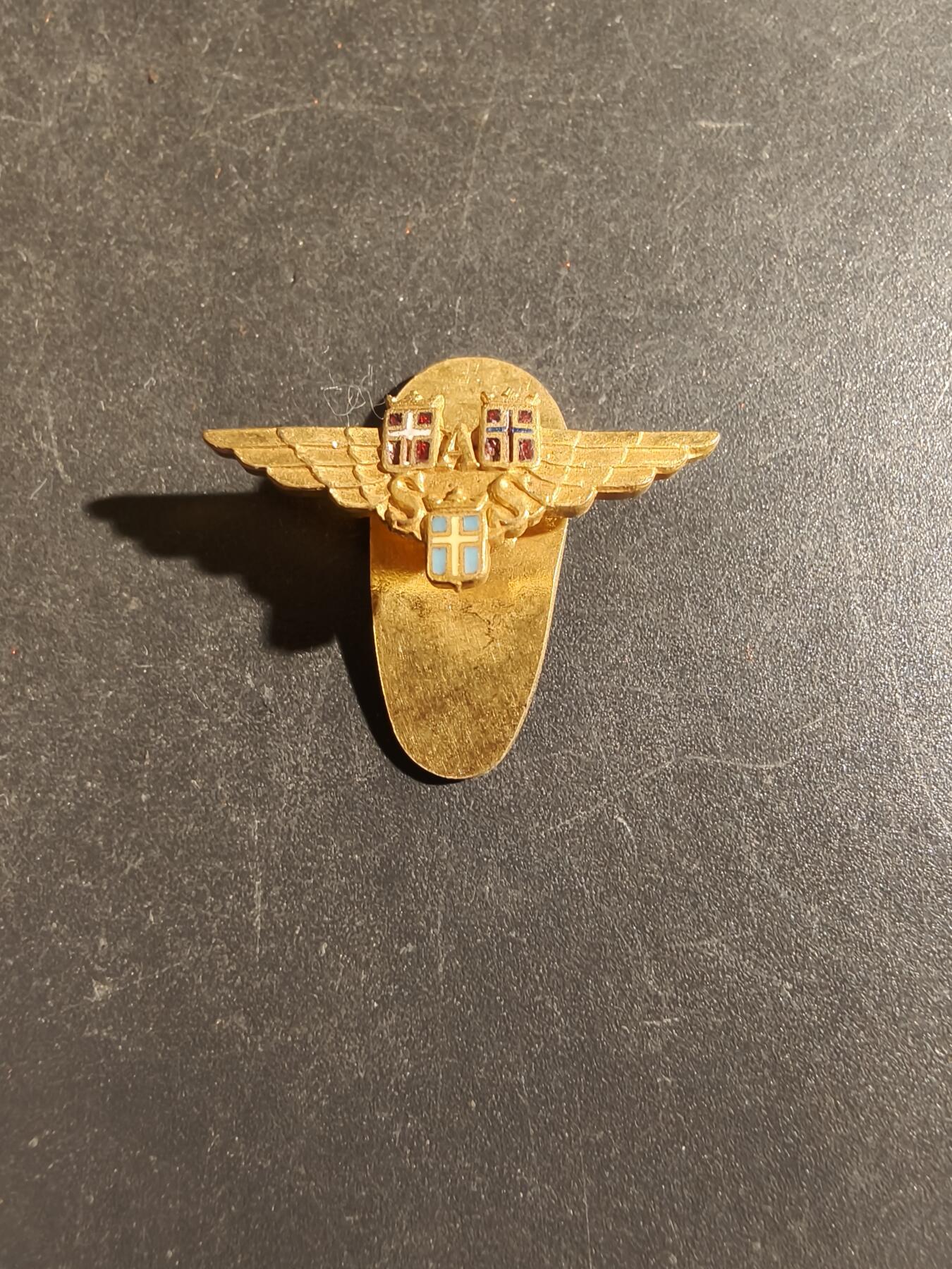 老王徽章第163期 13-15日三场连拍 16日统一发货  13、14日结束后可寄存 丹麦斯堪的纳维亚半岛航空公司徽章