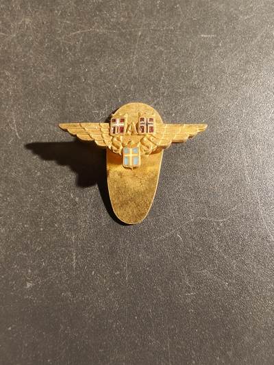 老王徽章第163期 13-15日三场连拍 16日统一发货  13、14日结束后可寄存 - 丹麦斯堪的纳维亚半岛航空公司徽章