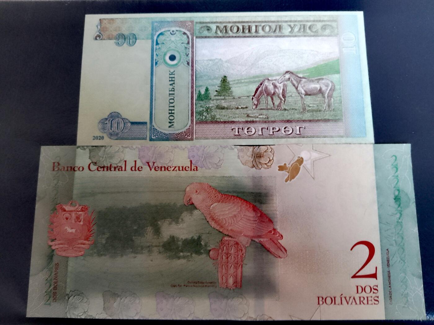 全新蒙古2020年10图格、委内瑞拉2018年2波利瓦尔靓品纸币2枚一对