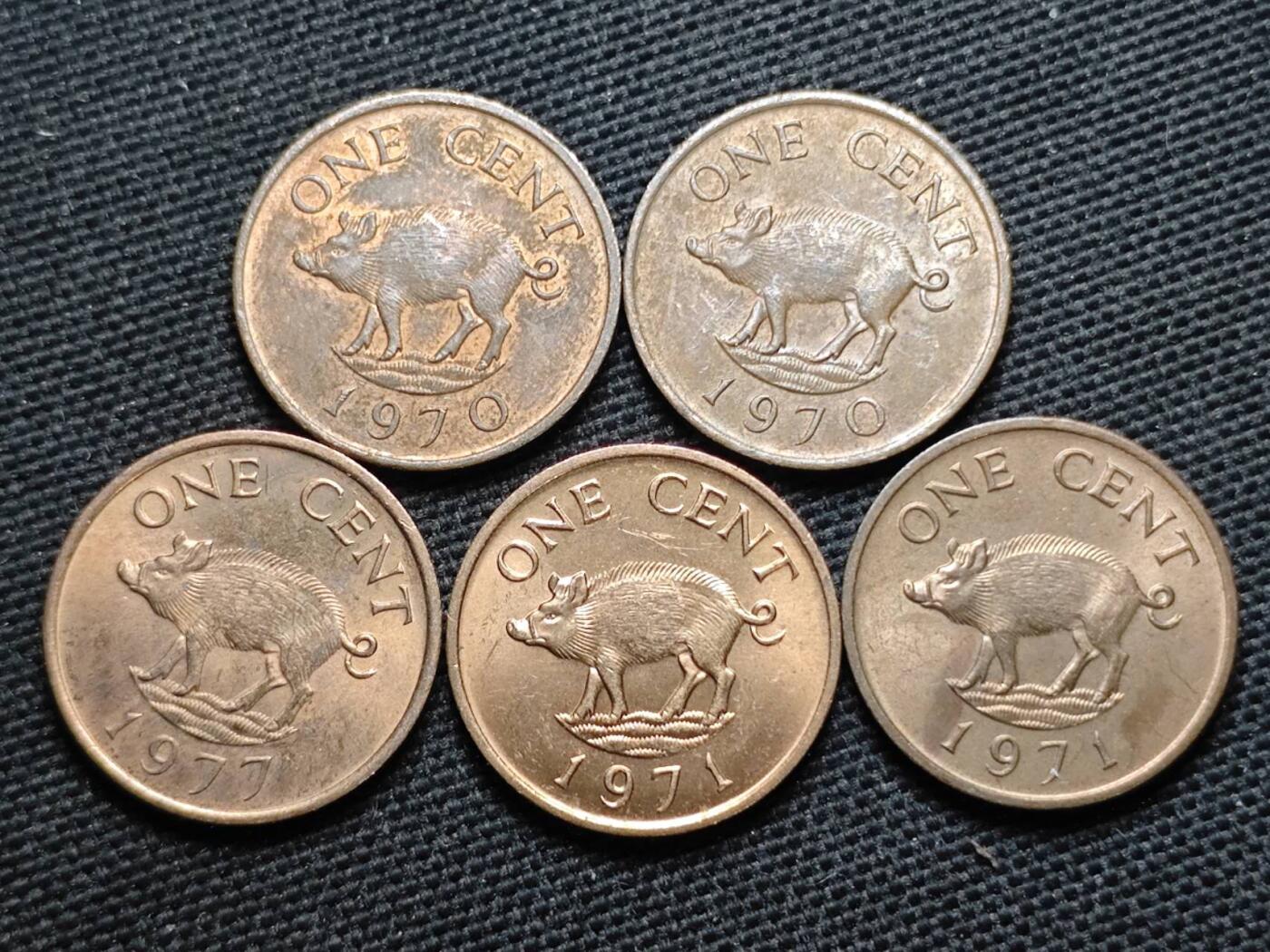 KK钱币收藏小铺  第370场  2月预留时间 周末发货  百慕大一分铜币一组5枚