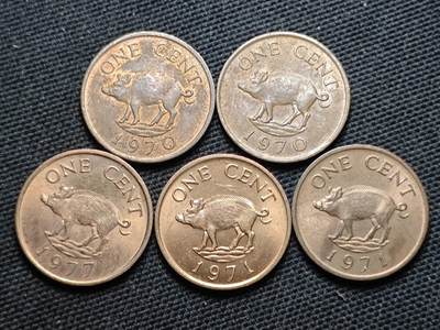 KK钱币收藏小铺  第370场  2月预留时间 周末发货 -  百慕大一分铜币一组5枚