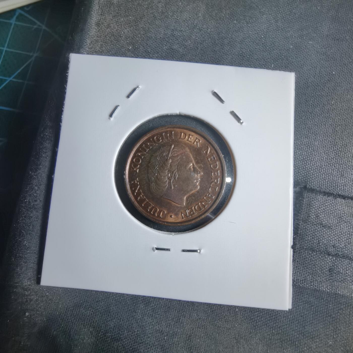 沼泽如烟--第905场