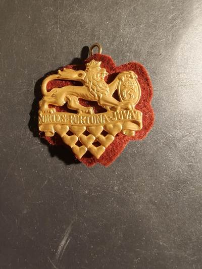 老王徽章第163期 13-15日三场连拍 16日统一发货  13、14日结束后可寄存 - 丹麦日德兰龙骑兵团帽徽 