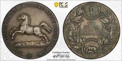 博洋堂世界钱币拍卖第146期（全场包邮） - PCGS SP64 Matte 唯一记录德国不伦瑞克农业协会银质奖章，包浆美，实物非常漂亮，附带原盒，29g40.2mm，不伦瑞克小马，迎接马年必备款
