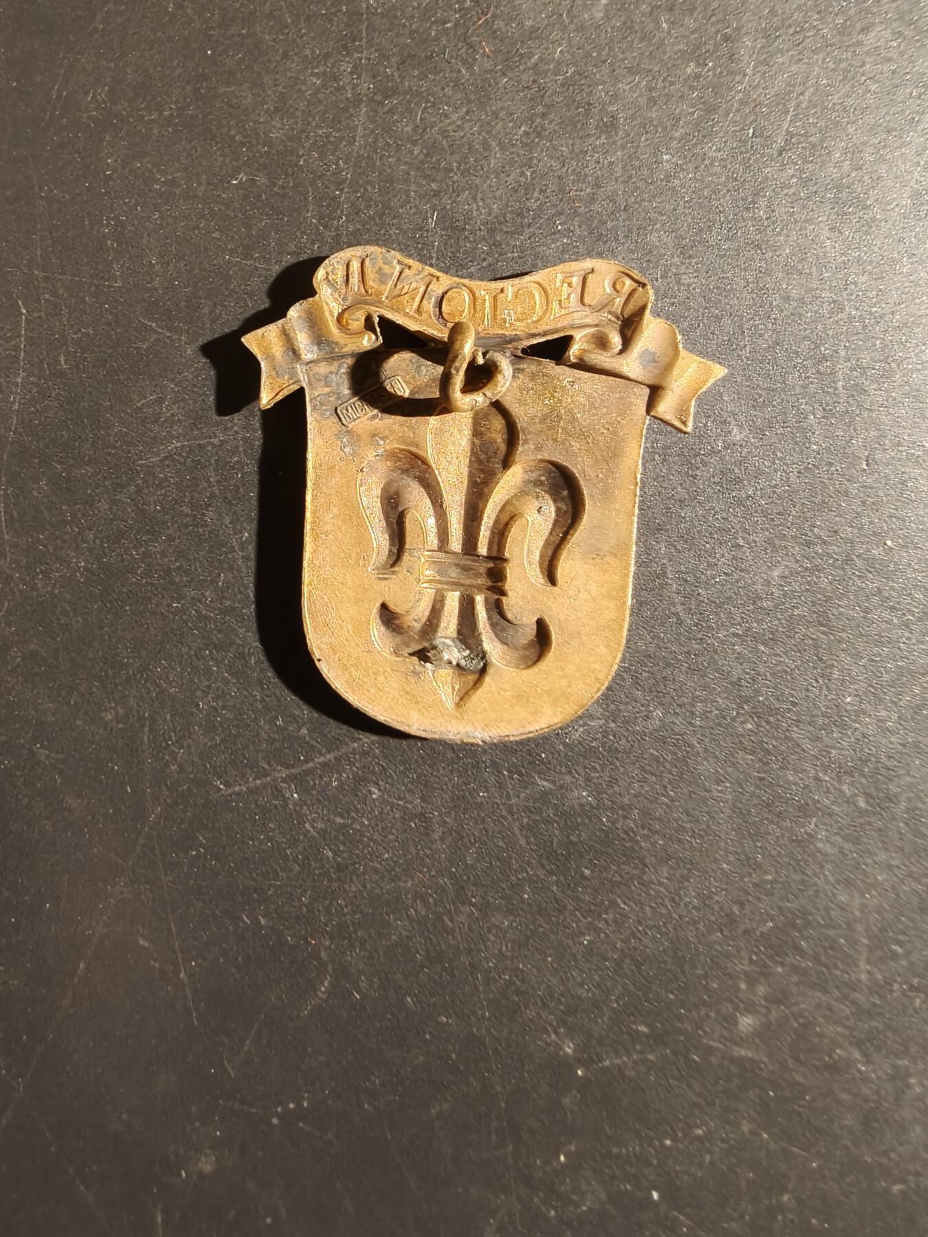 老王徽章第163期 13-15日三场连拍 16日统一发货  13、14日结束后可寄存 丹麦国民警卫队第4营帽徽