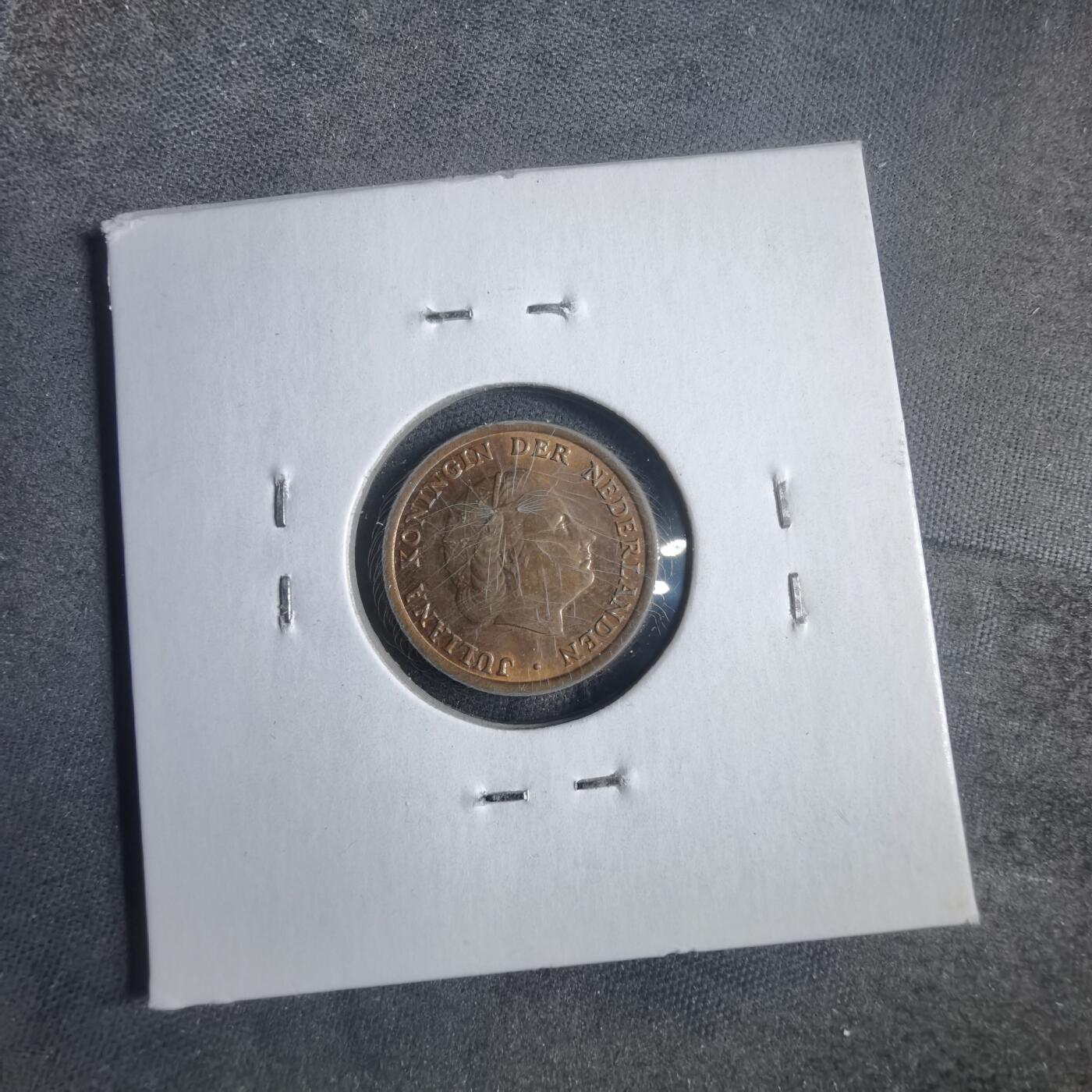 沼泽如烟--第905场