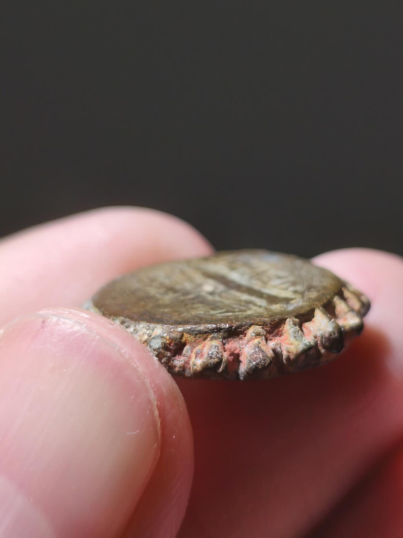 星盘世界钱币十一月二十二日古典币精品专场