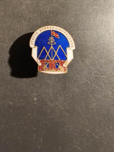 老王徽章第163期 13-15日三场连拍 16日统一发货  13、14日结束后可寄存 - 丹麦日德兰建筑工匠协会徽章