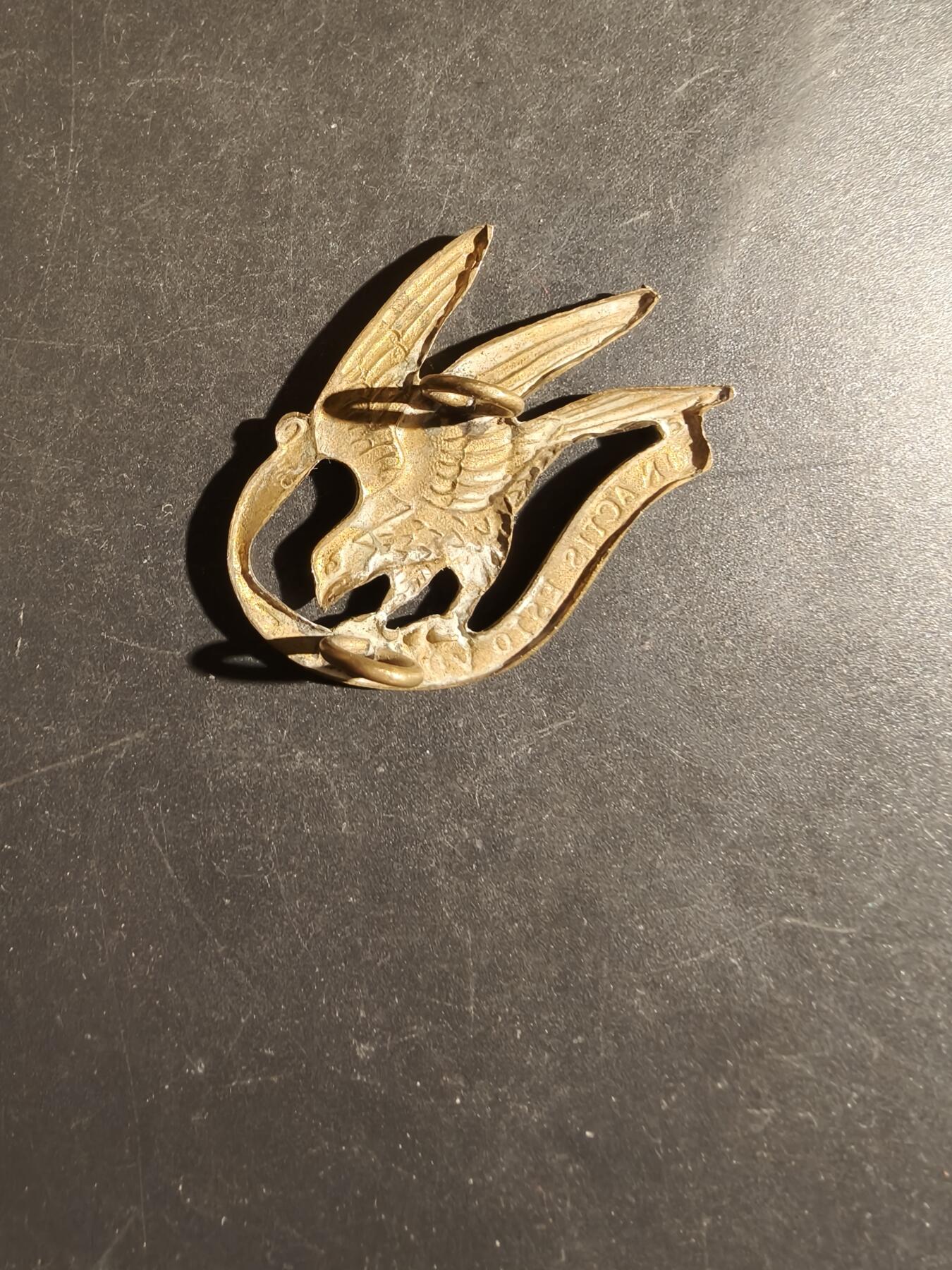 老王徽章第163期 13-15日三场连拍 16日统一发货  13、14日结束后可寄存 丹麦轻骑兵卫队帽徽