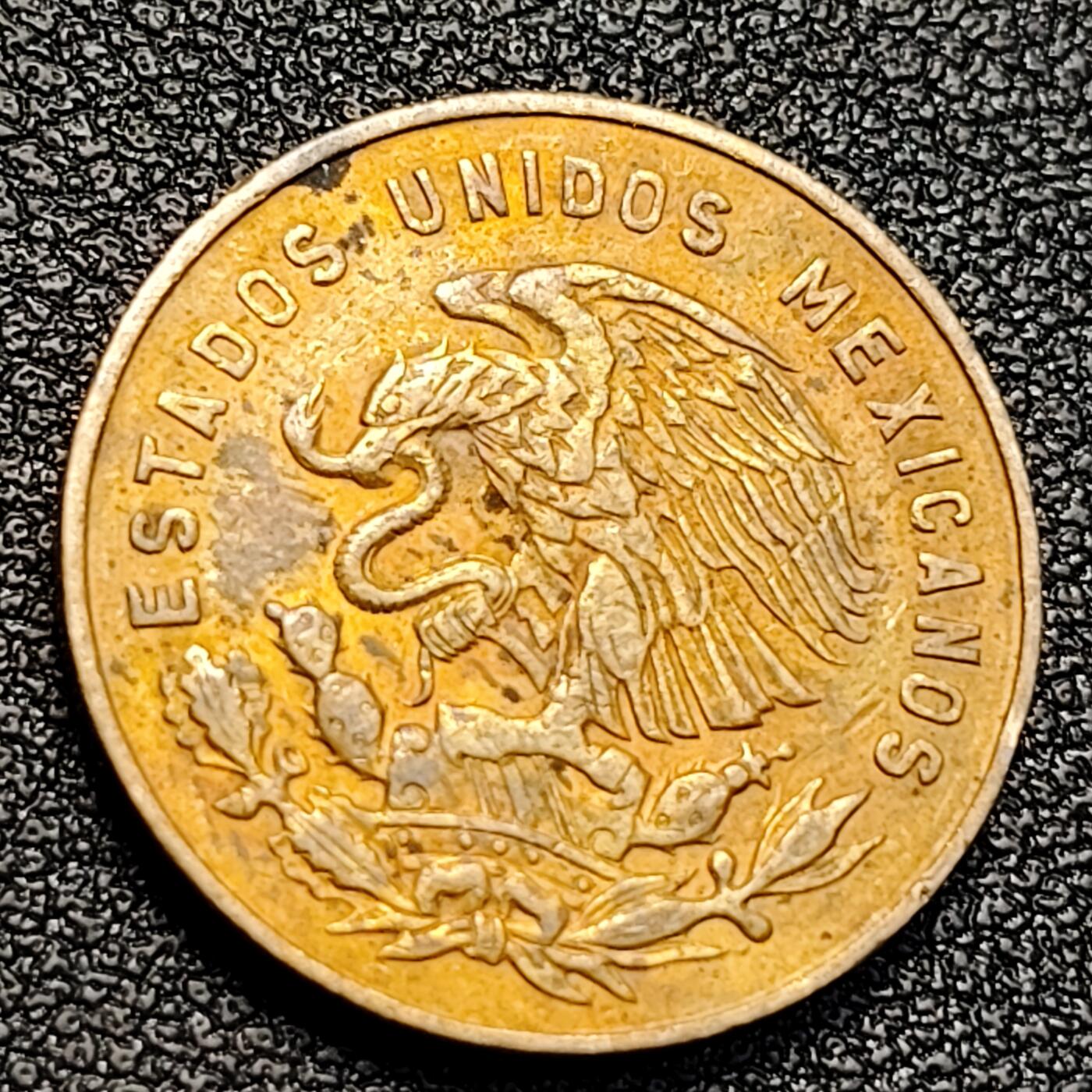 泉币菌-第129场-精品福利场（本场拍品多，请提前出价） 。