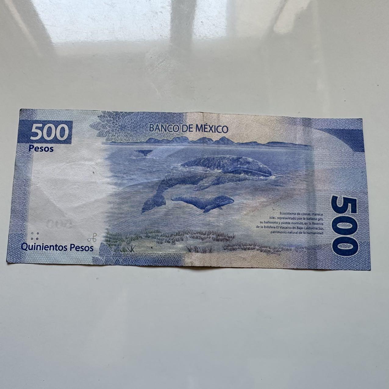 🌹外币初藏🌹🐯2025年第128场  每周二四六晚8️⃣点 接代拍 墨西哥2023年500比索