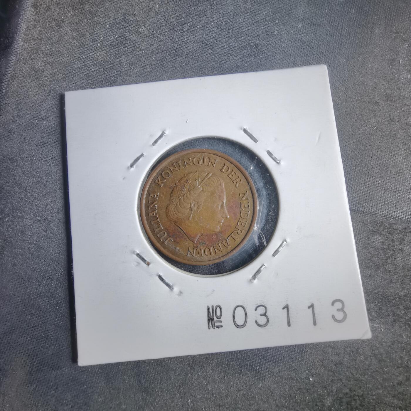 沼泽如烟--第905场