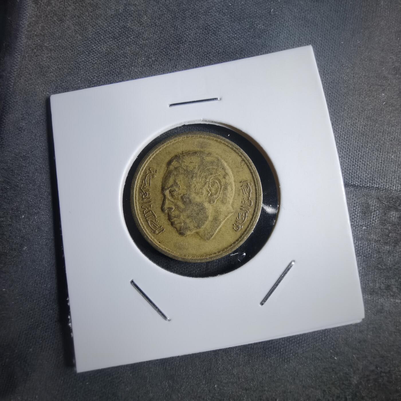 沼泽如烟--第905场