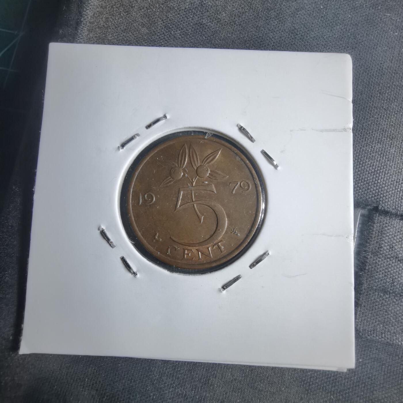 沼泽如烟--第905场