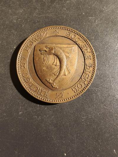 老王徽章第163期 13-15日三场连拍 16日统一发货  13、14日结束后可寄存 - 法国历史协会大铜章    直径34mm.    重量20g