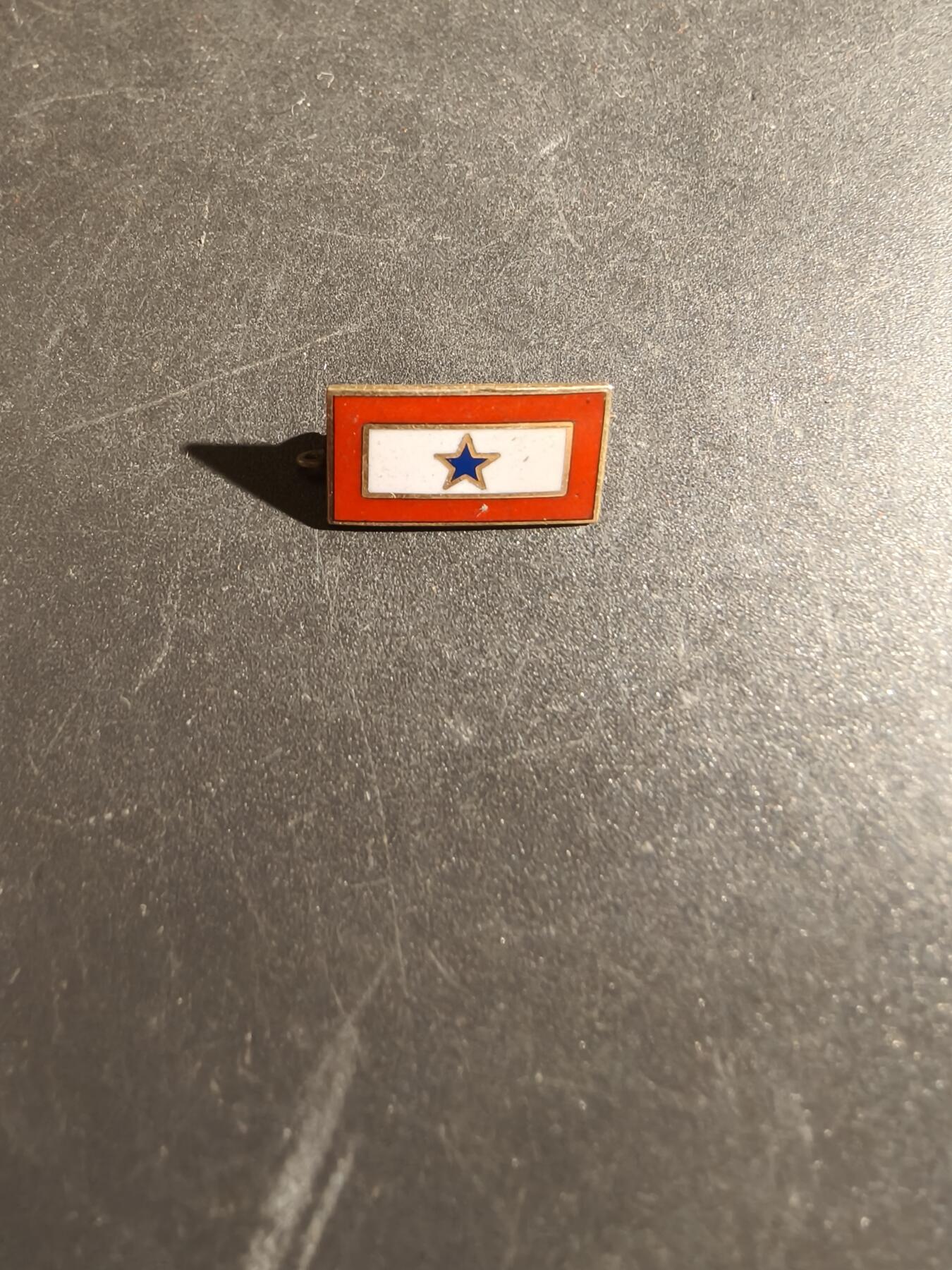 老王徽章第163期 13-15日三场连拍 16日统一发货  13、14日结束后可寄存 美国二战蓝星证章    授予二战战时美国海陆空军现役军人家属佩戴