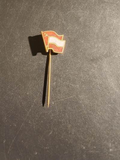 老王徽章第163期 13-15日三场连拍 16日统一发货  13、14日结束后可寄存 - 波兰苏波友谊徽章