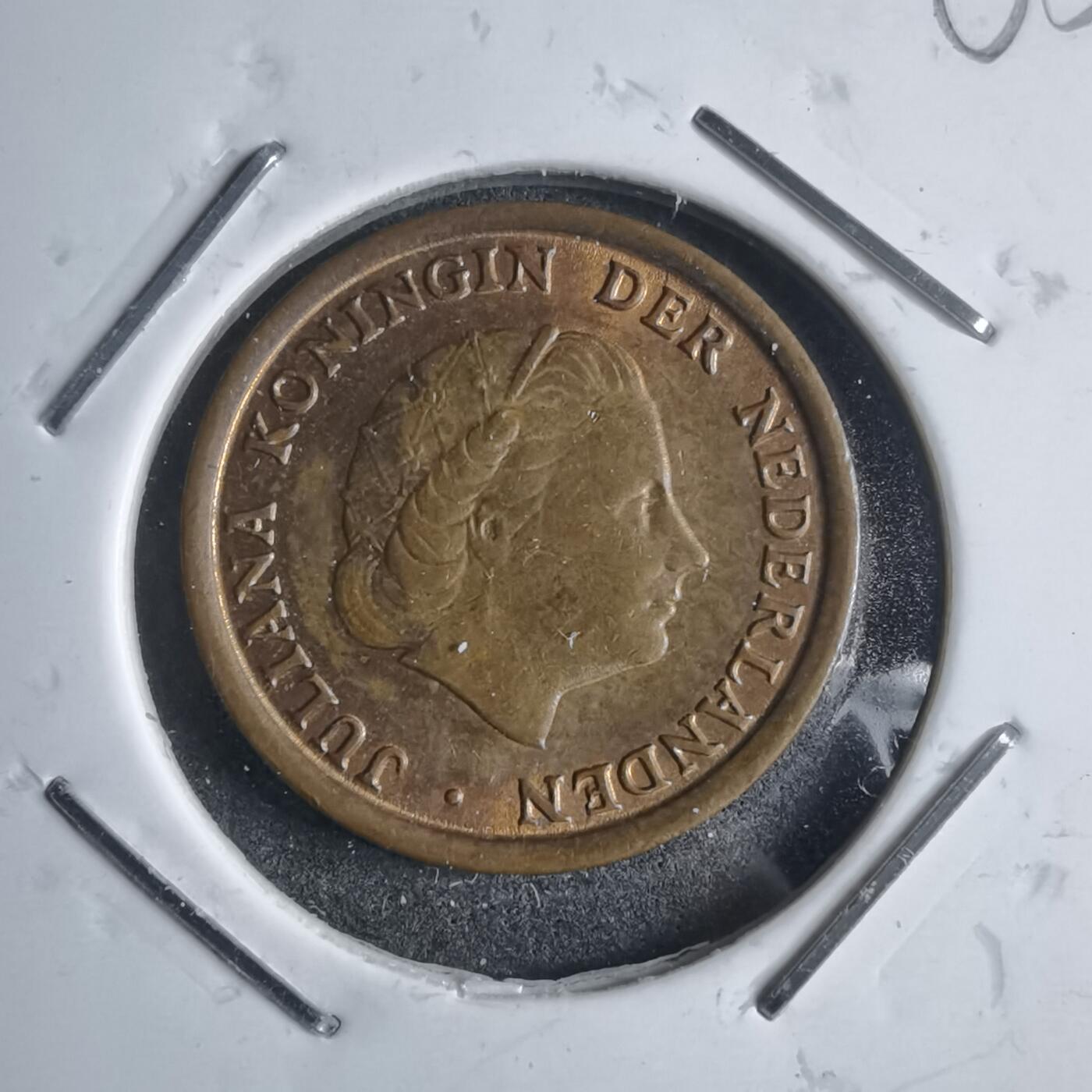 沼泽如烟--第905场