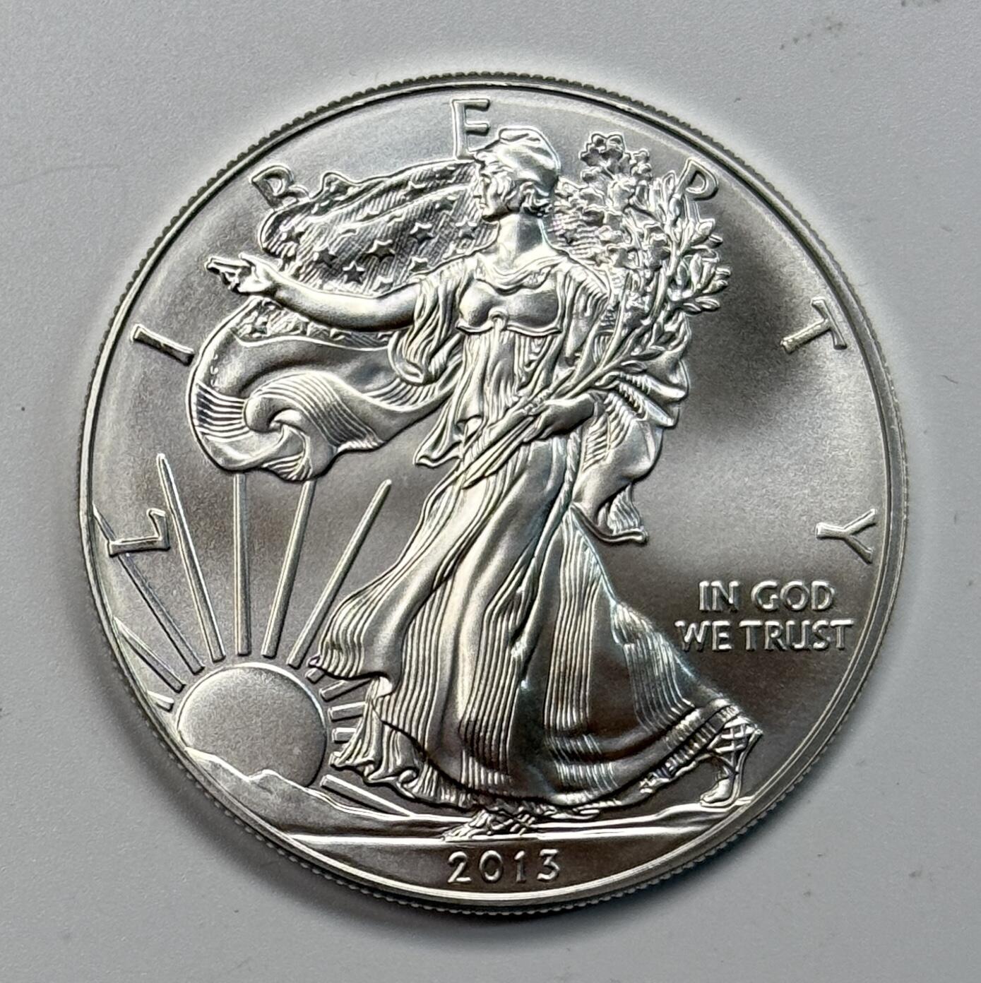 S&S Numismatic世界钱币-拍卖 第115期  美国2013年 自由行走女神 1美元1盎司投资银币 31.1克999银