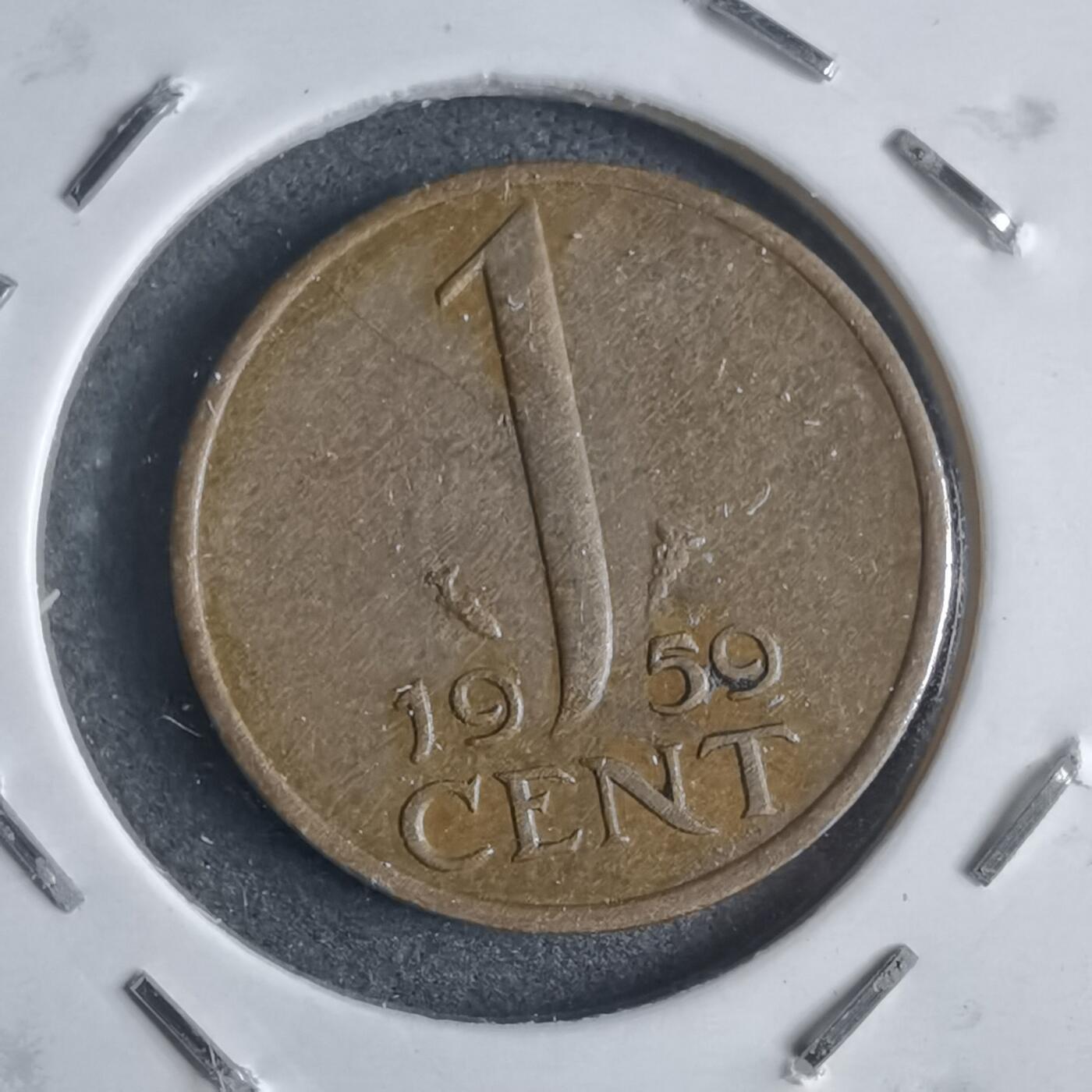 沼泽如烟--第905场