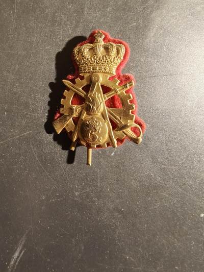老王徽章第163期 13-15日三场连拍 16日统一发货  13、14日结束后可寄存 - 丹麦陆军机电与工程师团帽徽     底衬完整