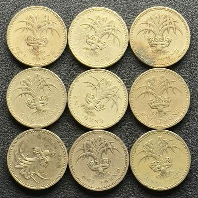 ＜小葵钱铺＞第65期·散币·银币场·满200包邮，不寄存·17号发货 - 英国1985、1990年威尔士韭菜1镑黄铜纪念币9枚