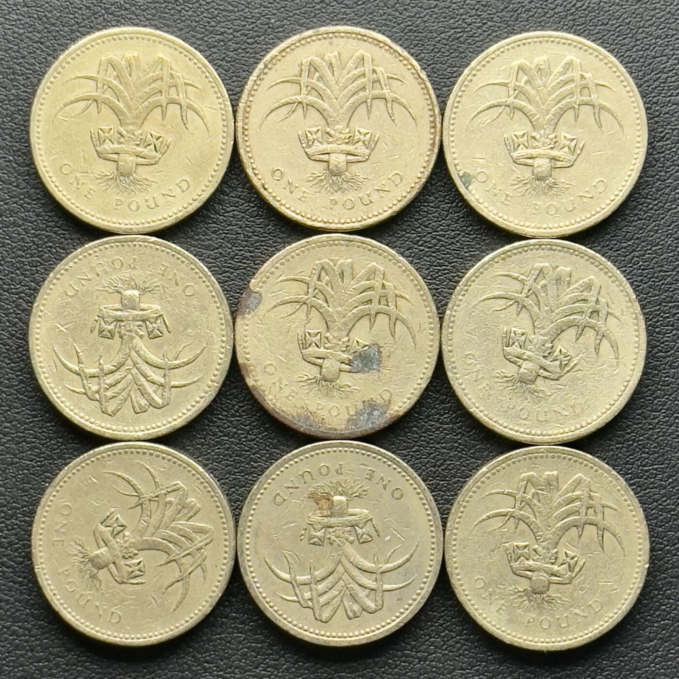 ＜小葵钱铺＞第65期·散币·银币场·满200包邮，不寄存·17号发货 英国1985、1990年威尔士韭菜1镑黄铜纪念币9枚