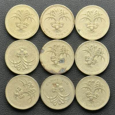 ＜小葵钱铺＞第65期·散币·银币场·满200包邮，不寄存·17号发货 - 英国1985、1990年威尔士韭菜1镑黄铜纪念币9枚