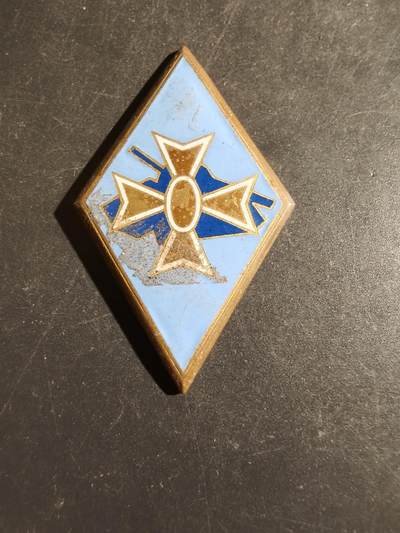 老王徽章第163期 13-15日三场连拍 16日统一发货  13、14日结束后可寄存 - 法国第1装甲师证章