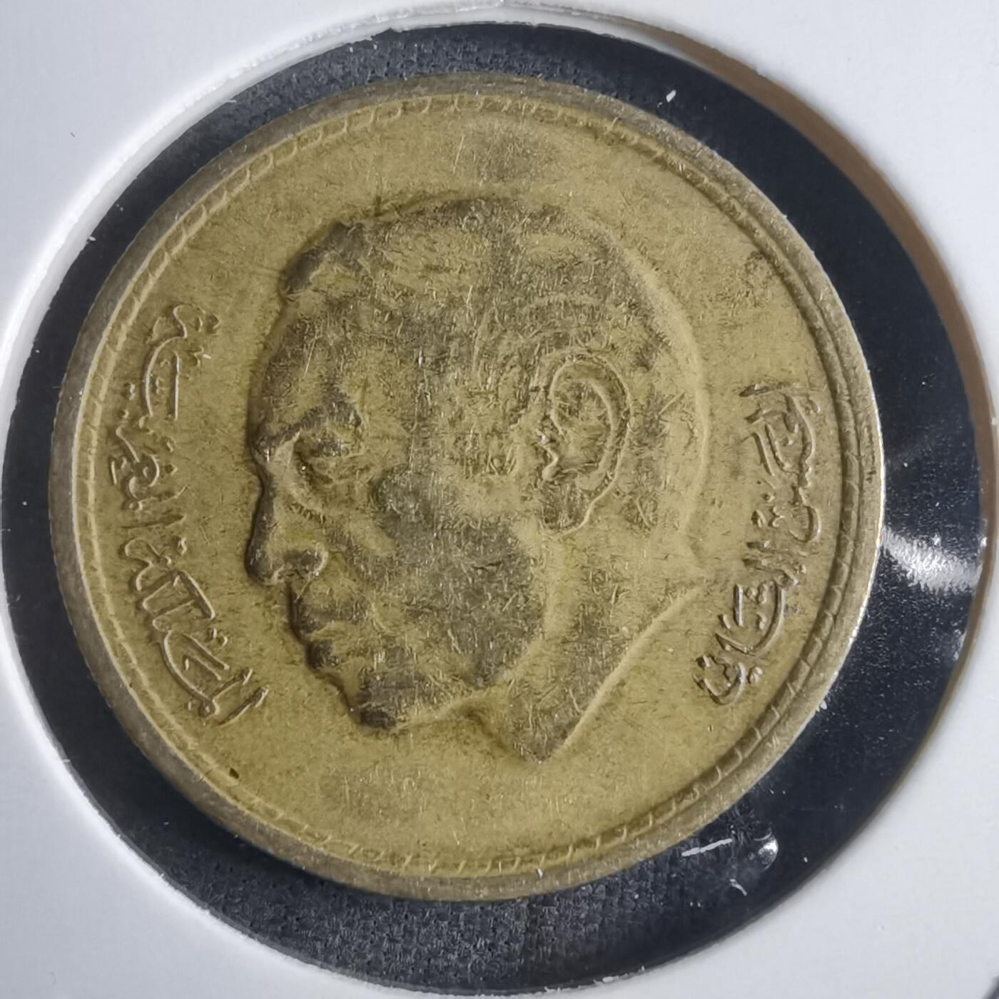 沼泽如烟--第905场