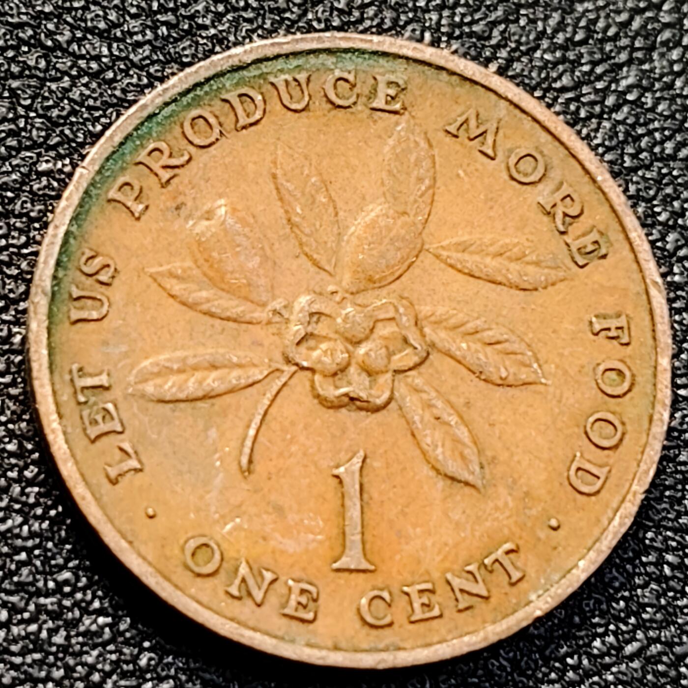 泉币菌-第129场-精品福利场（本场拍品多，请提前出价） 。