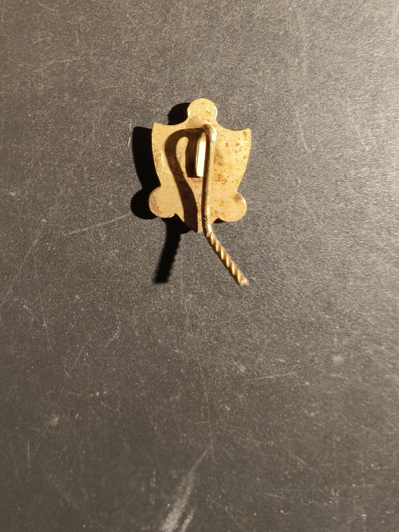 老王徽章第163期 13-15日三场连拍 16日统一发货  13、14日结束后可寄存 丹麦FDF基督教青年协会徽章