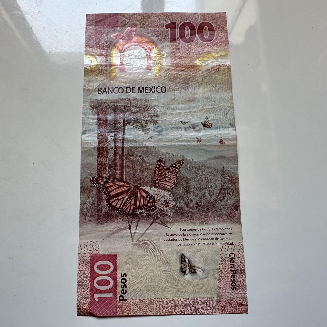 🌹外币初藏🌹🐯2025年第128场  每周二四六晚8️⃣点 接代拍 墨西哥2021年100比索