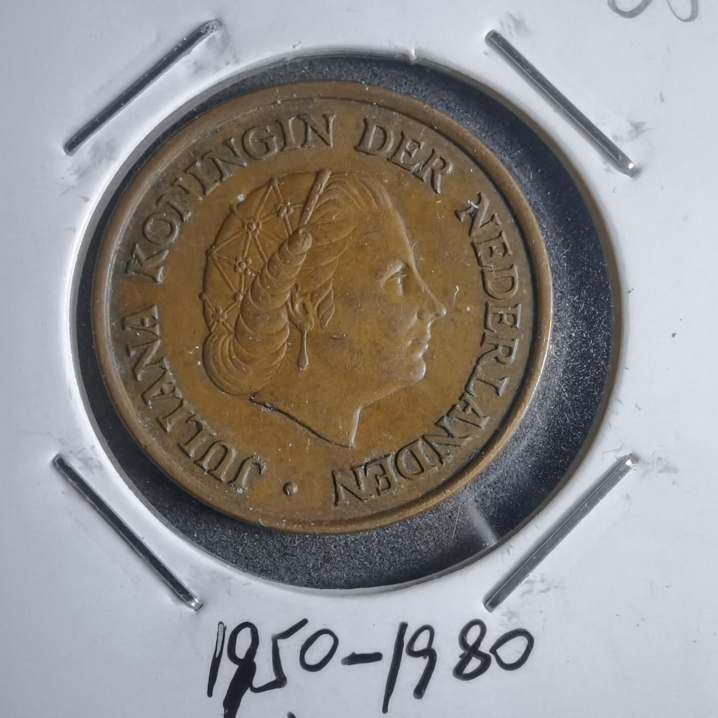 沼泽如烟--第905场