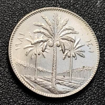 泉币菌-第129场-精品福利场（本场拍品多，请提前出价） - 伊拉克硬币 萨达姆执政时期异形币50费尔椰树版 23mm