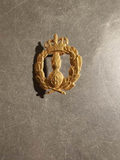 老王徽章第163期 13-15日三场连拍 16日统一发货  13、14日结束后可寄存 - 丹麦陆军物资司令部帽徽