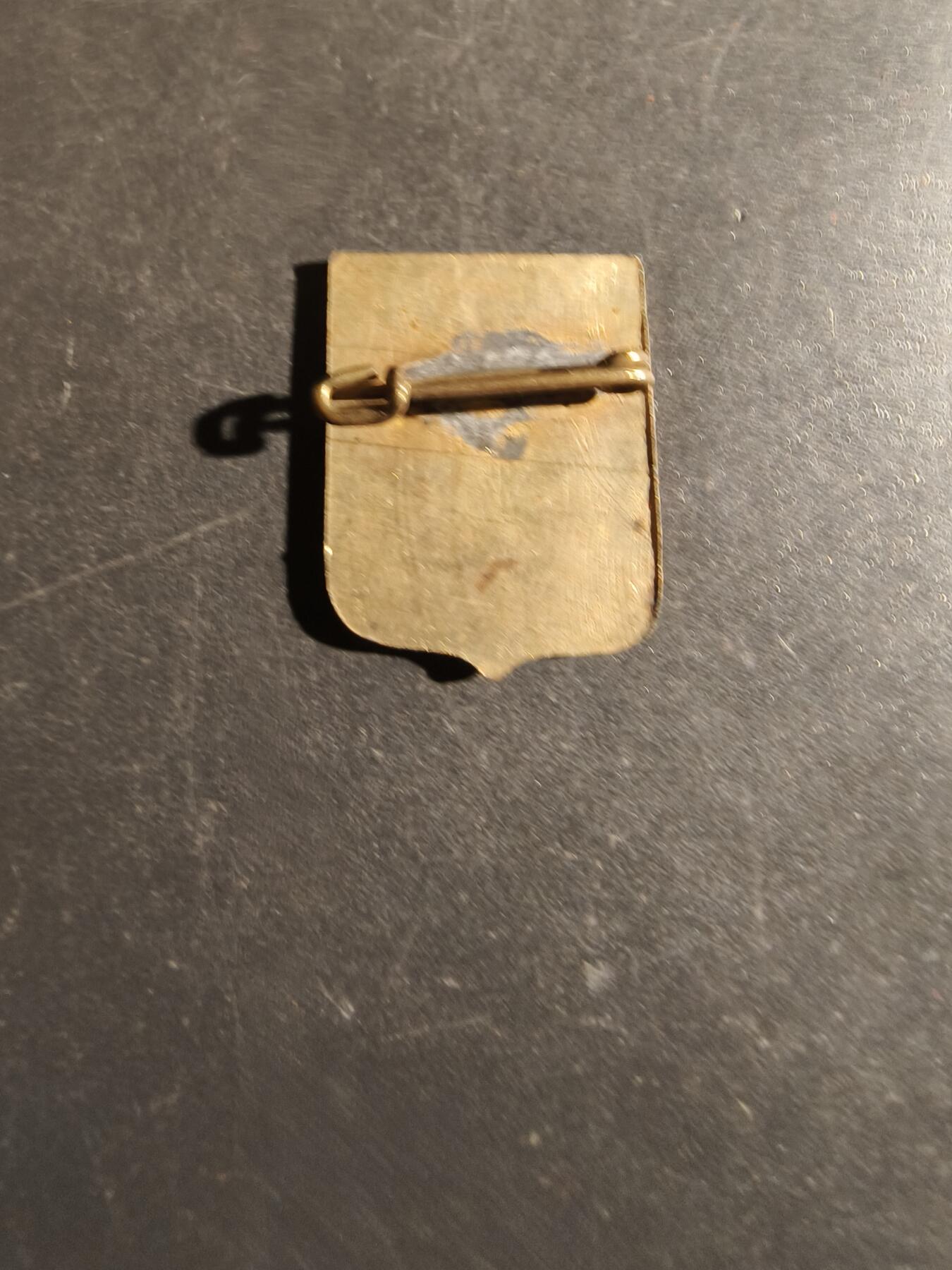 老王徽章第163期 13-15日三场连拍 16日统一发货  13、14日结束后可寄存