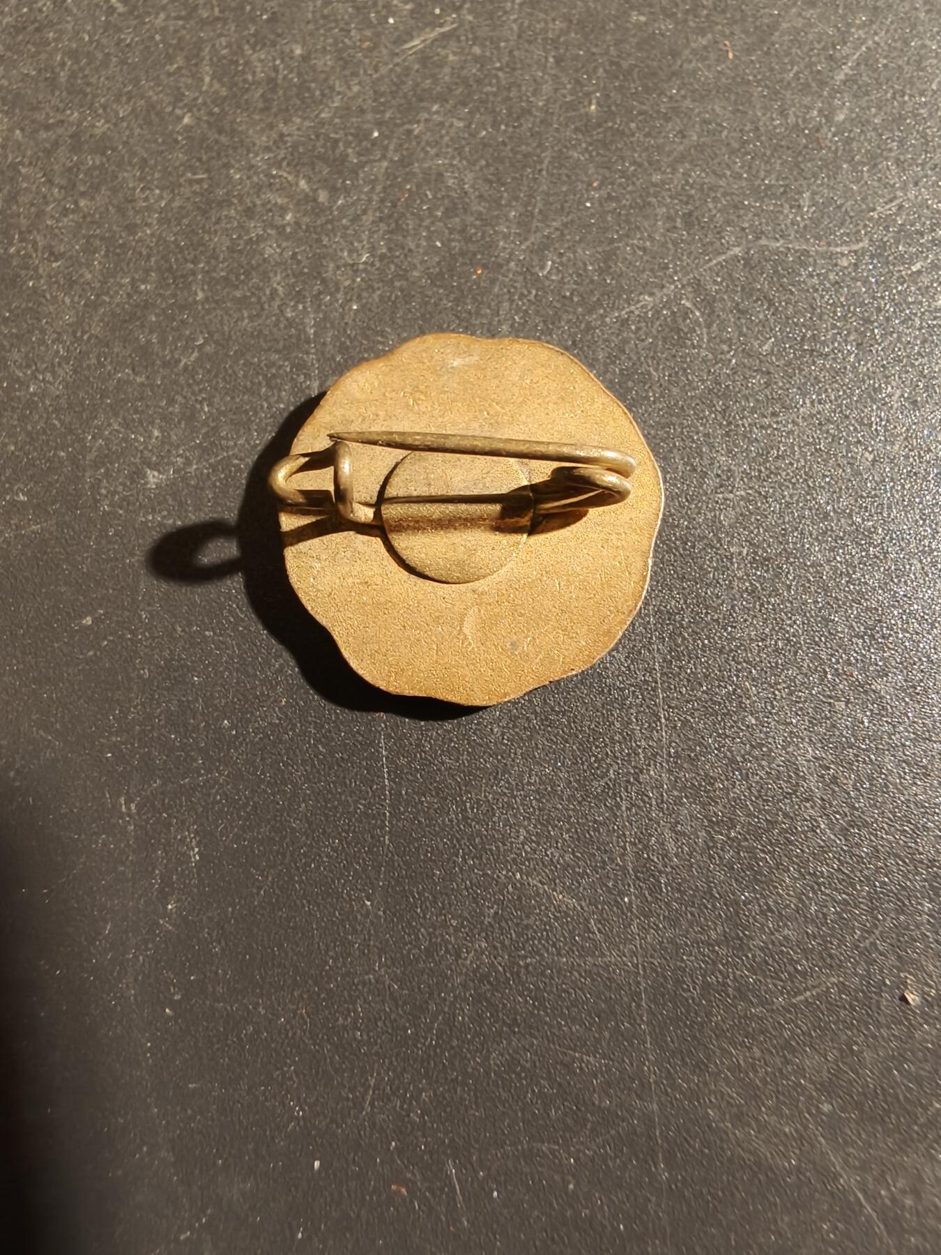 老王徽章第163期 13-15日三场连拍 16日统一发货  13、14日结束后可寄存 德国基督教福音派青年运动世界联合会证章