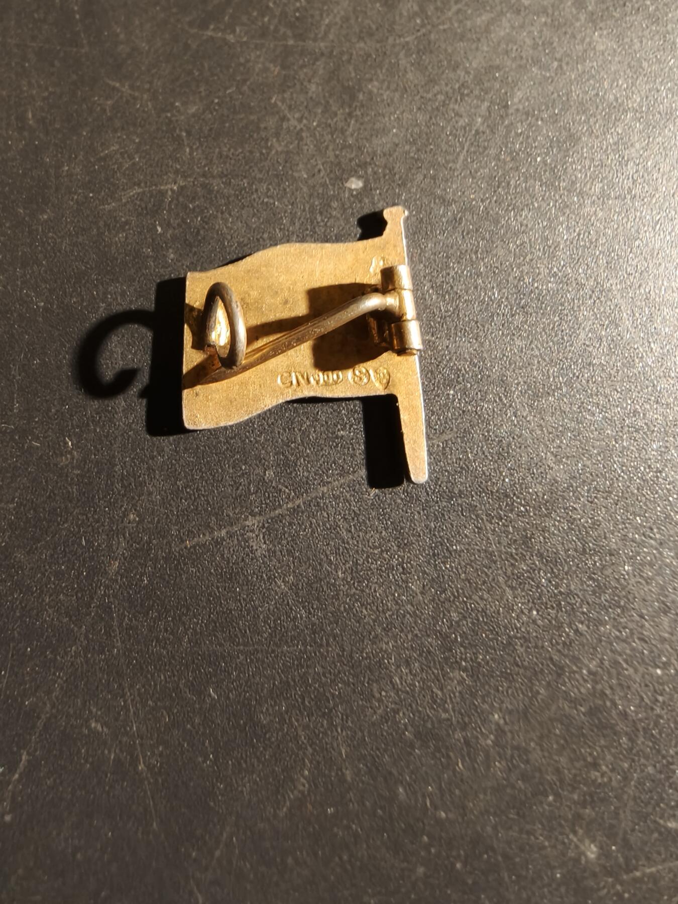 老王徽章第163期 13-15日三场连拍 16日统一发货  13、14日结束后可寄存