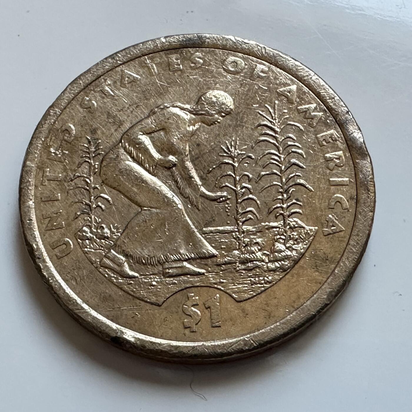 🌹外币初藏🌹🐯2025年第128场  每周二四六晚8️⃣点 接代拍 美国2009年1美元 印第安原住民a