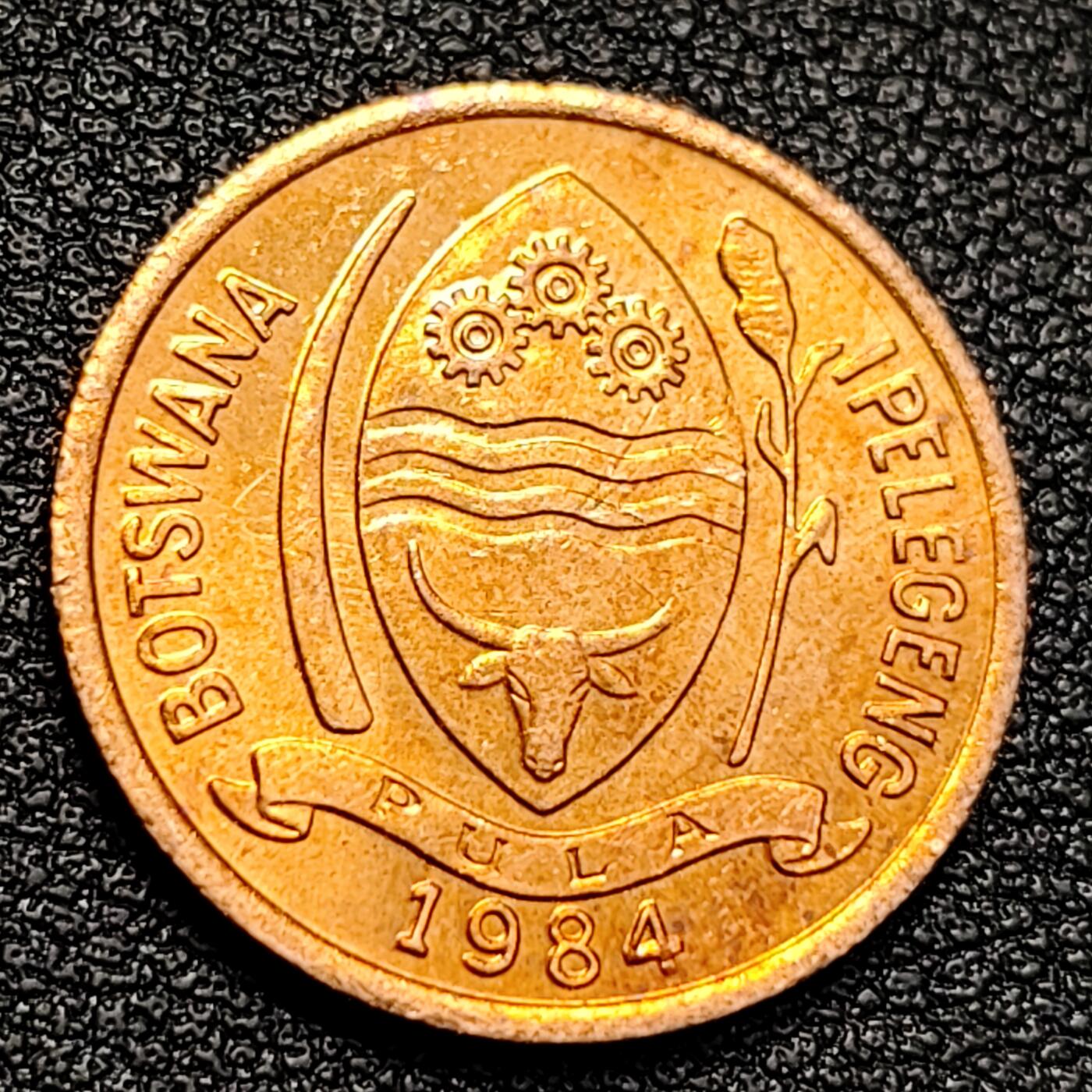 泉币菌-第129场-精品福利场（本场拍品多，请提前出价） 。