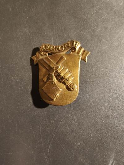 老王徽章第163期 13-15日三场连拍 16日统一发货  13、14日结束后可寄存 - 丹麦国民警卫队第2营帽徽