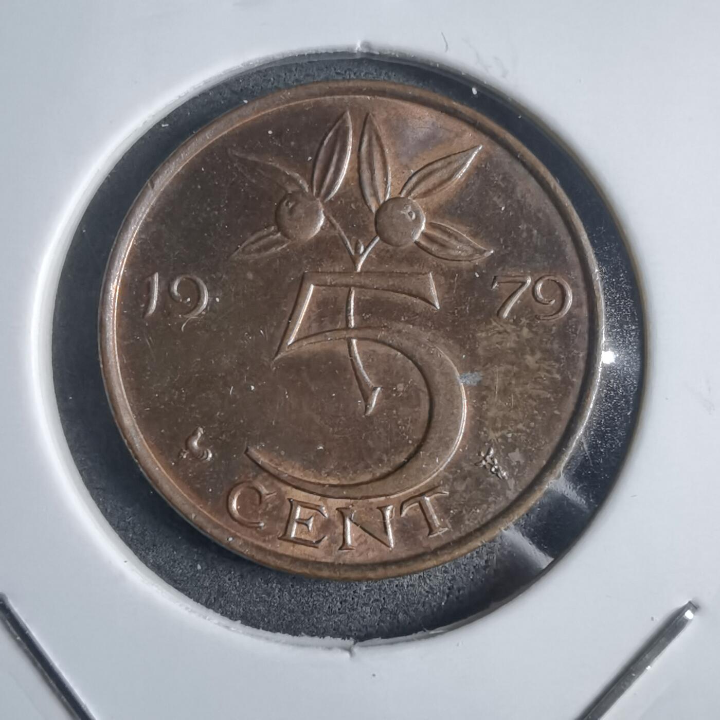 沼泽如烟--第905场