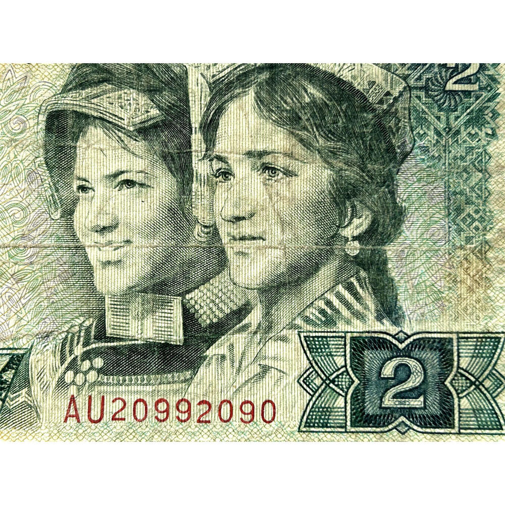 年份号钞票 2090~2099 无13457龙珠号 朦胧号 人三号 1980年2元 802 二块钱 老纸币钱币 第四套人民币收藏 古币水印 四版币 逢绿必涨 贰圆关门币 号码20992090