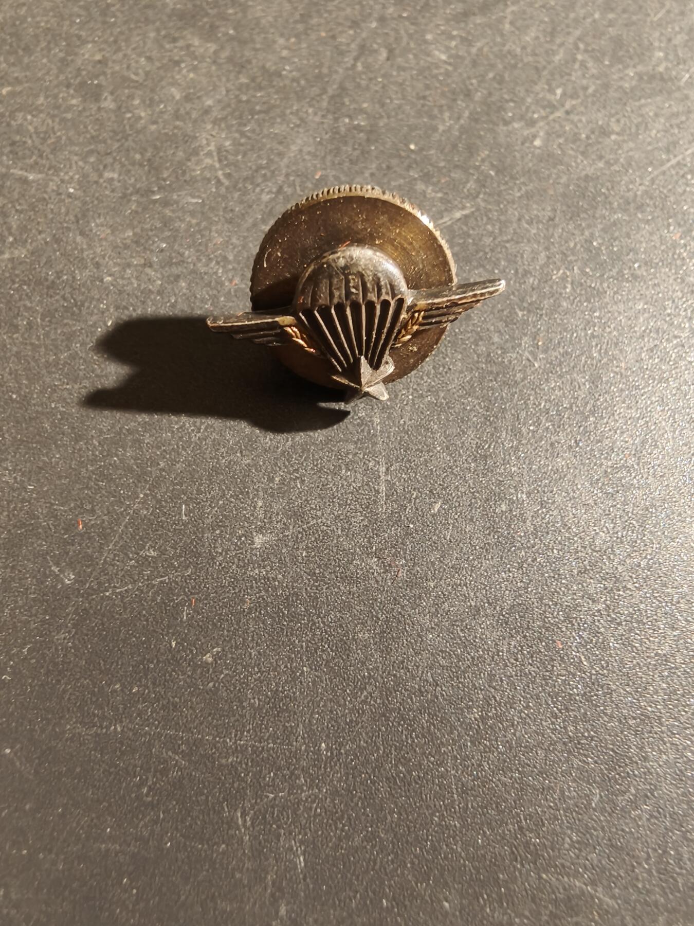 老王徽章第163期 13-15日三场连拍 16日统一发货  13、14日结束后可寄存 法国空降兵徽章