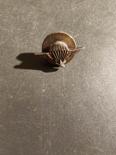 老王徽章第163期 13-15日三场连拍 16日统一发货  13、14日结束后可寄存 - 法国空降兵徽章