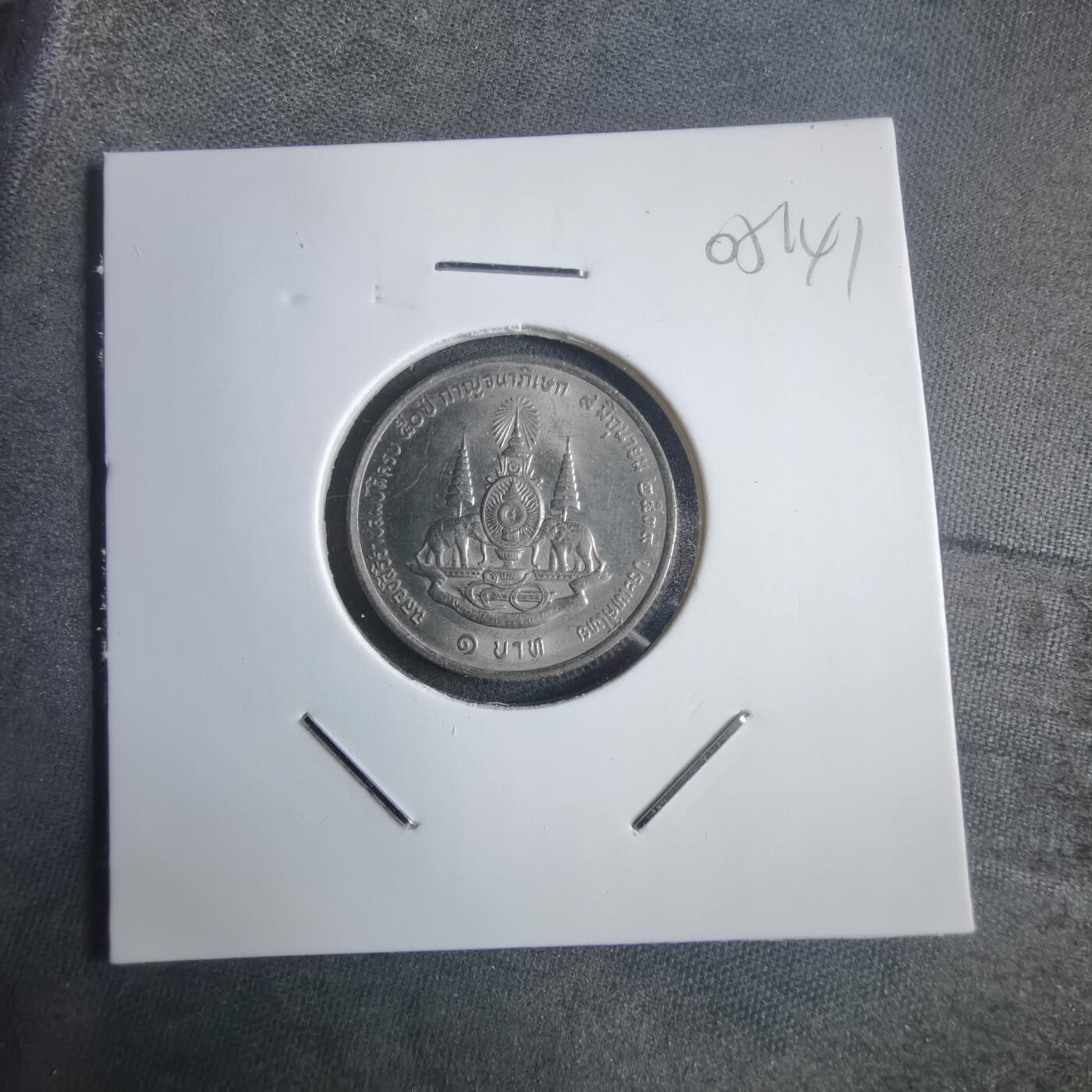 沼泽如烟--第905场