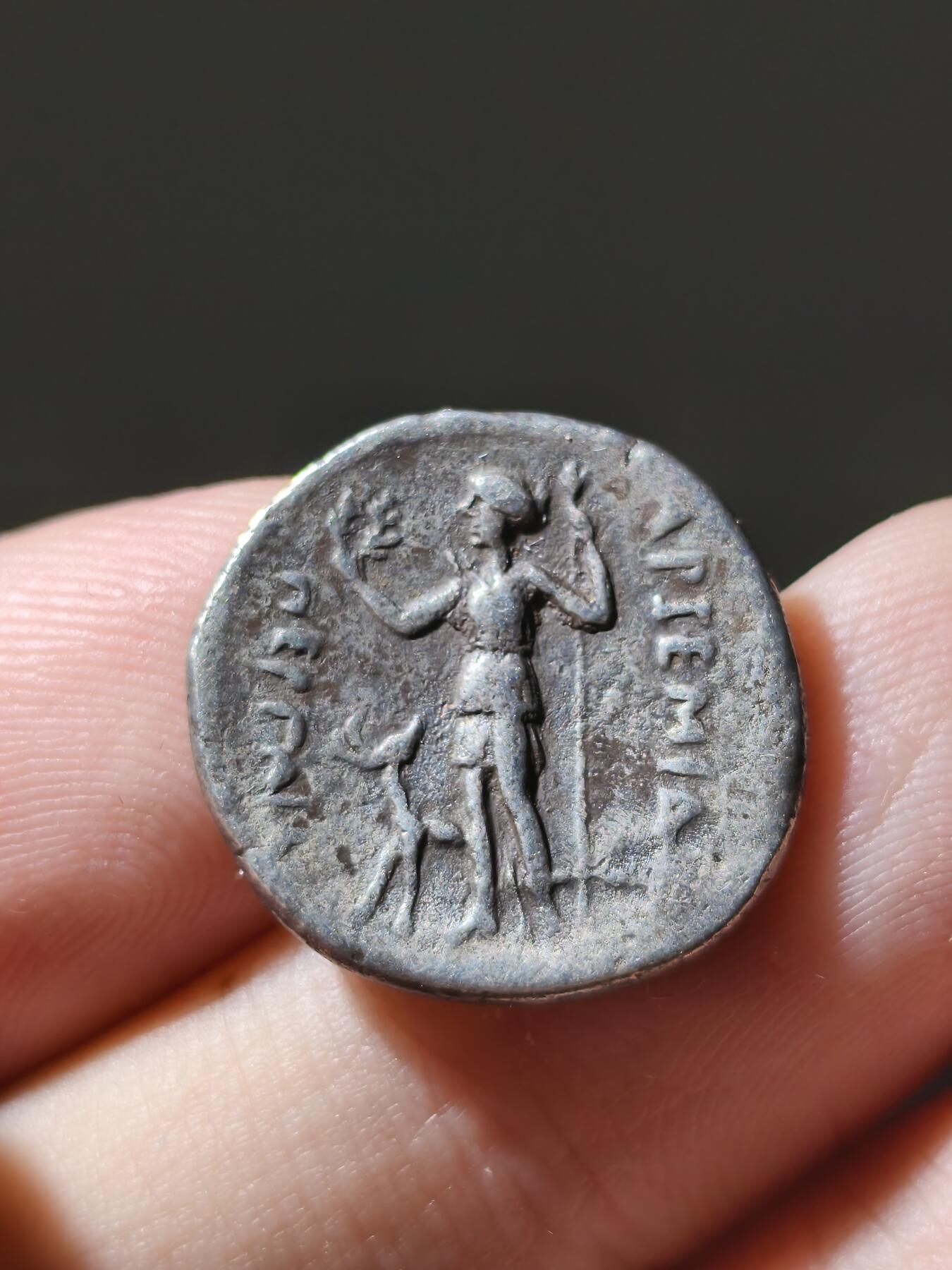 星盘世界钱币十一月二十二日古典币精品专场