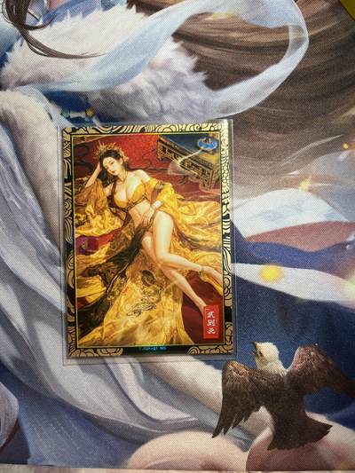 欢迎送拍、零成本上架，释放现金流，合理分配上拍卡品 - 【裸卡彩闪】宗rich 武则天 奇典工作室&天下归心